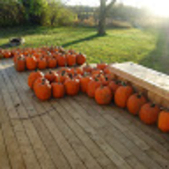 Meet your Posher, Michelle - Picture 1 of 1